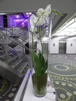 02_eurovalve-2016_07