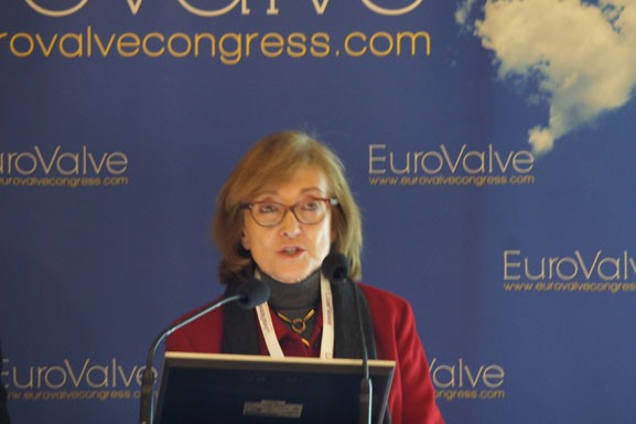 03-Eurovalve2017-pleniere-jeudi-019