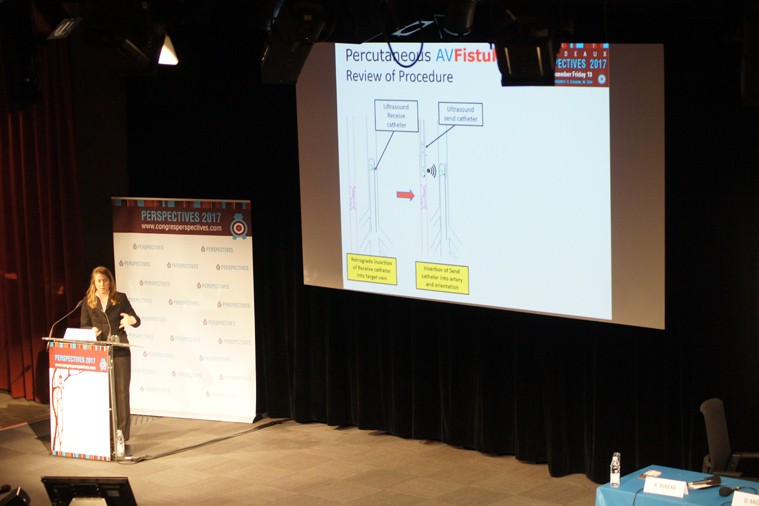 02-perspectives2017-024