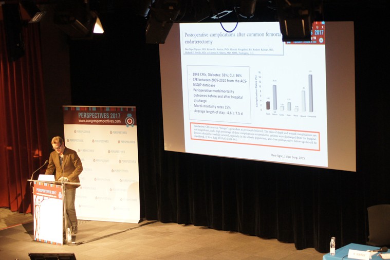 02-perspectives2017-039