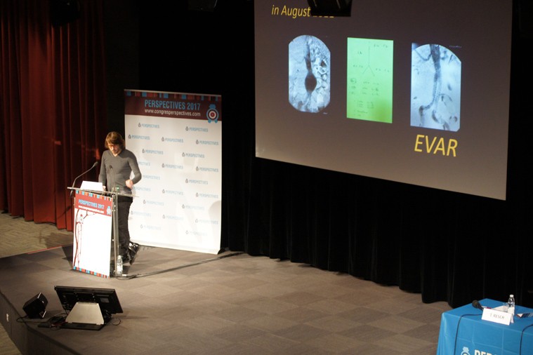 04-perspectives2017-010