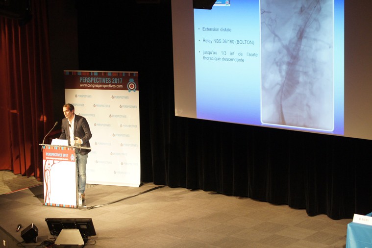 06-perspectives2017-009