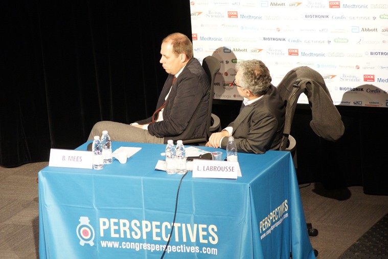 06-perspectives2017-011