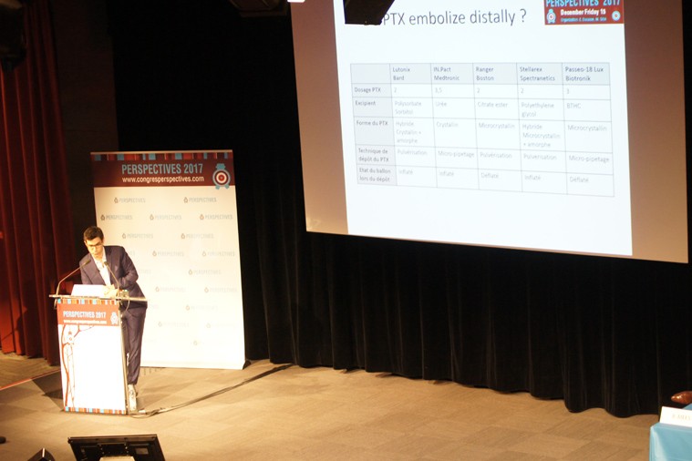 06-perspectives2017-014